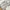 Nike Air Jordan Casual Sneakers Wanita Gray