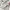 Nike Air Jordan Casual Sneakers Wanita gray photo 6