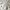 Nike Air Jordan Casual Sneakers Wanita gray photo 3