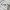 Nike Air Jordan Casual Sneakers Wanita gray photo 7