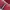 Bally Luxury Wallet Wanita burgundy photo 4