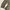 Y2K Leopard Pattern Baggy Denim Pants photo 6