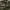 Jacket Carhat WIP Prentis Liner Camo photo 4