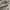VANS SK8 LOW TRUE WHITE photo 4