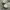 VANS SK8 LOW TRUE WHITE photo 2