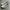 VANS SK8 LOW TRUE WHITE
