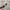 2000s Oakley Flame Edition | Y2K | Gorpcore photo 6