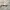 2000s Oakley Flame Edition | Y2K | Gorpcore