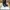 Gucci Black Bonnie Stripe Leather Boots photo 1