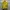 Haider Ackermann - SS17 Yellow Floral Silk Shortsleeve photo 1