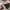 Stone Island Streetwear Luxury Leather jacket Pria cream photo 5