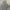 HOODIE THISISNEVERTHAT T- LOGO photo 1