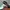 Sneakers Adidas Adiracer low photo 4