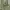 Minimalist Summer dress Wanita green white photo 2