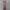 Casual Minimalist Evening dress Wanita tan photo 1