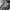 Asics Streetwear Sportswear Sneakers Pria black gray photo 4