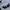 Russell Athletic Vintage Reworked Fleece Pria white black photo 5