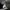 Russell Athletic Vintage Reworked Fleece Pria white black photo 8