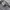 Russell Athletic Vintage Reworked Fleece Pria white black photo 3