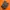 salomon acs pro
 photo 5