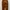 Corduroy Pant GU Brown