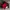 Nike Air Jordan 1 Retro High OG Gym Red photo 9