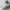 Converse Chuck Taylor 70s Low Top White Garnet Egret  photo 2
