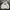 Hodie Ebbets Field Embroidery White Color🕊️
