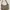 Minimalist Shoulder bag Wanita tan photo 2