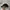 Mlb Boston red sox hat cap topi photo 3