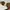 Vintage 90’s Sover Mod. 3421 Sunglasse photo 7