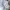 Casual Korean Chicago Hat Pria white photo 6