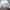 Casual Korean Chicago Hat Pria white photo 4
