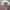 Casual Korean Chicago Hat Pria white photo 3
