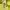 Adidas Indie Casual Windbreaker Pria multicolor photo 3