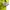Adidas Indie Casual Windbreaker Pria multicolor photo 2