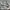 New Balance 991 v2 made in England. Size 40 photo 1