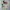 Sweater USA R4lph Laur3n photo 1