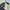 Sweater USA R4lph Laur3n photo 3