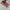 Sweater USA R4lph Laur3n photo 2