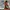 Puma RS-X running system. Size 42 photo 2