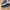 Puma Breakers Trainer Triple Black photo 4