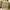 colorbox  photo 1