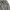 Supreme Biker Sportswear Bomber jacket Pria gray photo 3