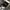 In the Attic Avant Garde Emo Fur coat Pria tan cream photo 5