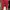 Lara woman pencil jeans merah  photo 1