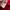 Jaket tracktop Le coq Sportif taped original red rare photo 4
