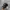 Cap topi MLB yankess NY black build up original photo 1