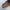 Birkenstock photo 5