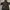 jaket parajumpers parka army winter military jacket photo 6